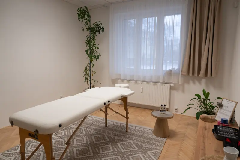 A massage studio with a treatment table, natural light, and green plants.